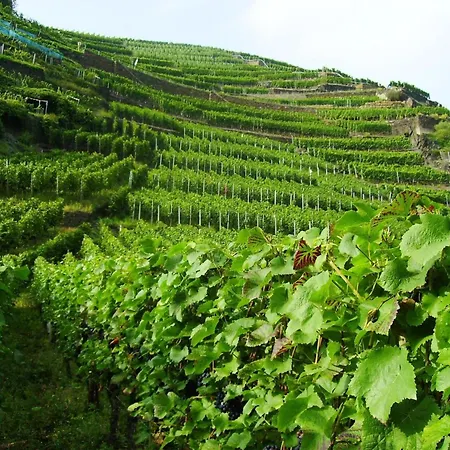 In M Rsdorf With Terrace (adults Only) *