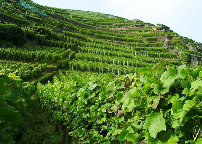 In M Rsdorf With Terrace (adults Only) *