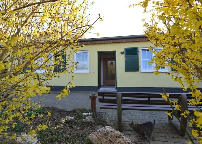 Dom wakacyjny In M Rsdorf With Terrace (adults Only)